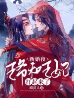 新婚夜，王爺和王妃打起來了