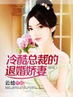 冷酷總裁的退婚嬌妻
