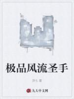 極品風流圣手