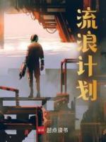 流浪計(jì)劃