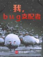 我，bug支配者