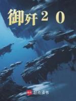 御殲20