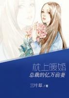 枕上暖婚：總裁的億萬前妻