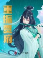 重振賈府
