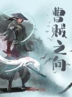 曹賊之向