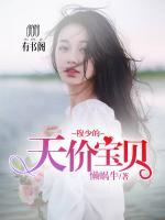 穆少的天價寶貝