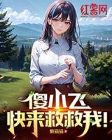 傻小飛，快來(lái)救救我！