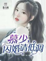 慕少，閃婚請低調(diào)