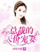總裁的天價(jià)寵妻