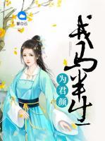 戎馬半生為君顏