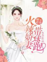 顧先生的寵妻路