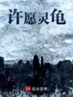 許愿靈龜