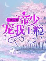 一夜閃婚：帝少寵我上癮