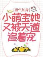 福氣加身：小萌寶她又被天道追著寵
