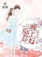 婚不由己：陸總晚上好！