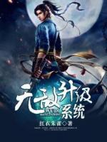 無敵升級系統(tǒng)