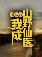 出獄后，我成山野仙醫(yī)
