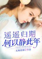 遙遙歸期，何以靜此年
