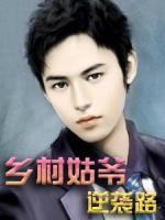 鄉(xiāng)村姑爺逆襲路