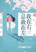 總裁在左我在右