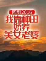 回到2016：我靠種田嬌養(yǎng)美女老婆
