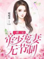 一婚二寶：帝少寵妻無節(jié)制