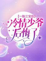 一胎三寶后，冷情少爺后悔了