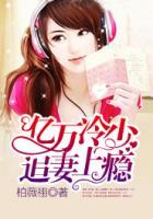 億萬冷少追妻上癮