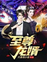 至尊龍婿