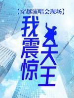 穿越演唱會現(xiàn)場，我震驚天王