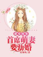 甜愛綿寵：首席萌妻要劫婚