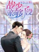 戰(zhàn)少，親夠了沒