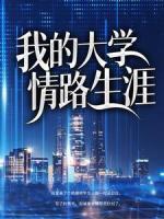 我的大學(xué)情路生涯