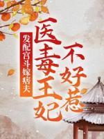 發(fā)配宮斗嫁痞夫，醫(yī)毒王妃不好惹