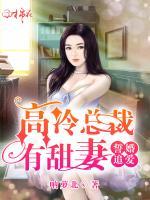 誓婚追愛：高冷總裁有甜妻