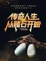 傳奇人生從賭石開始