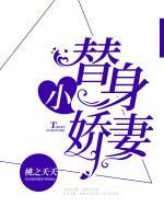 替身小嬌妻