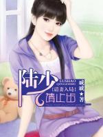 請(qǐng)妻入局：陸少，請(qǐng)止步