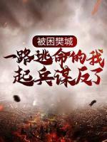 被困樊城，一路逃命的我起兵謀反了