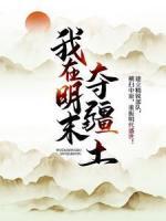 我在明末奪疆土
