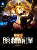 網(wǎng)游之暗刺巔峰