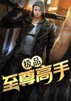 極品至尊高手