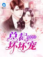 傾城辣妻，總裁壞壞寵