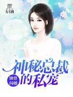 蝕骨閃婚：神秘總裁的私寵