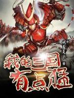 我的三國(guó)有點(diǎn)猛