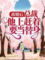 離婚后，總裁他上趕著要當(dāng)替身
