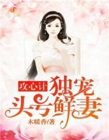 攻心計(jì)：獨(dú)寵頭號(hào)鮮妻