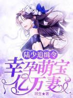 陸少追緝令：幸孕萌寶億萬妻