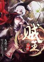 異世賊王