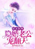 嬌妻很拽：隱婚老公，寵翻天
